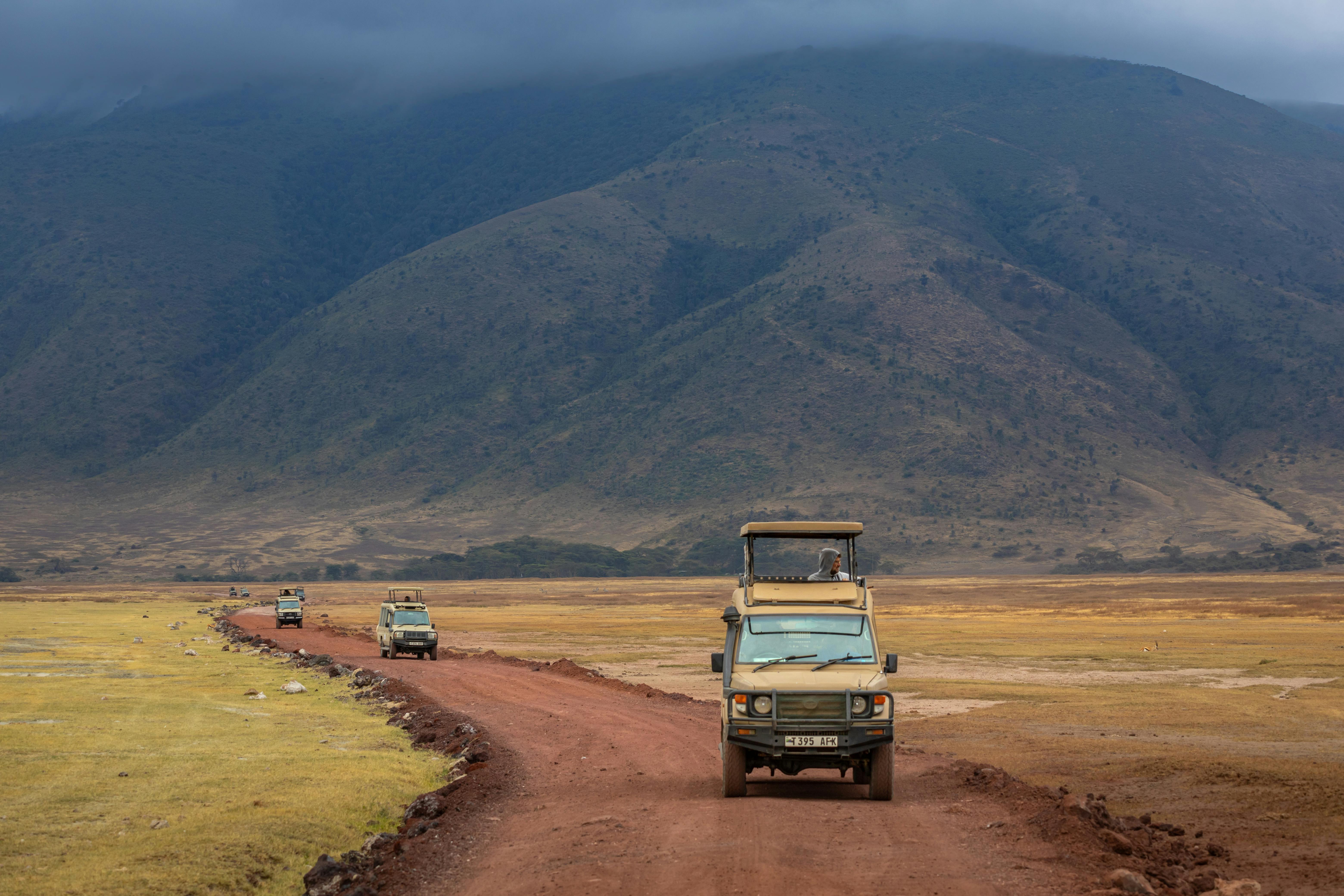 Kenyan Classic Safari- Wild Road Experience